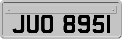 JUO8951