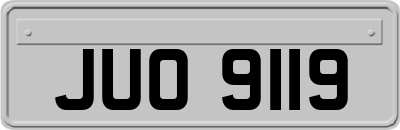 JUO9119