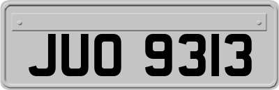 JUO9313