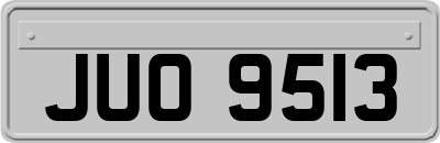 JUO9513