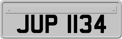 JUP1134