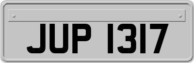 JUP1317