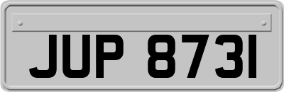 JUP8731