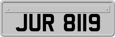 JUR8119