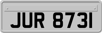 JUR8731