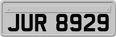 JUR8929