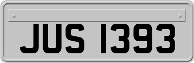 JUS1393