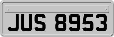 JUS8953