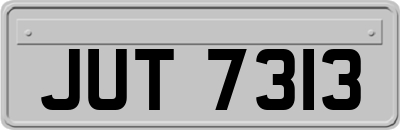 JUT7313