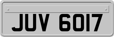 JUV6017