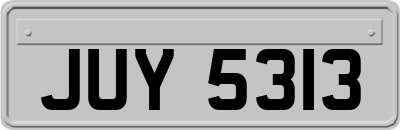 JUY5313