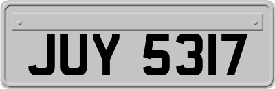 JUY5317