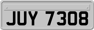 JUY7308