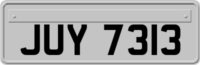 JUY7313