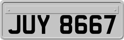 JUY8667
