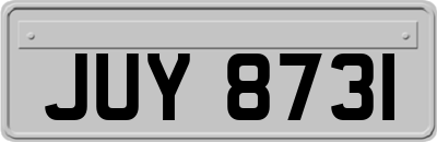 JUY8731