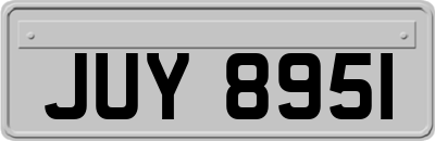 JUY8951