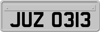 JUZ0313