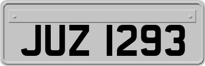 JUZ1293