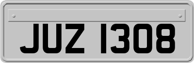 JUZ1308
