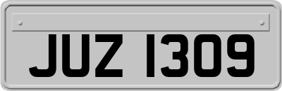 JUZ1309