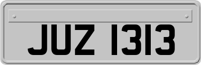 JUZ1313