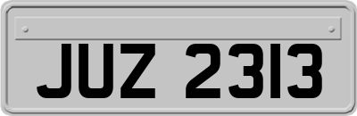 JUZ2313