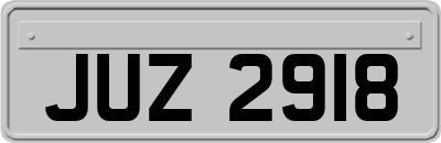 JUZ2918