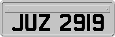 JUZ2919