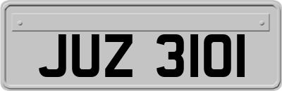 JUZ3101