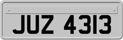 JUZ4313