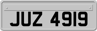 JUZ4919