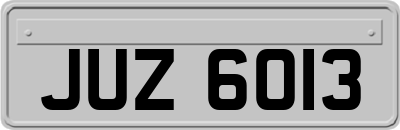 JUZ6013