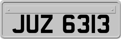 JUZ6313