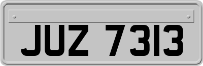 JUZ7313