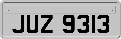 JUZ9313