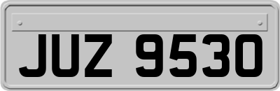 JUZ9530
