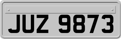 JUZ9873