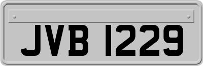 JVB1229