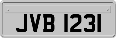 JVB1231