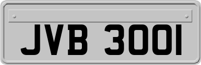 JVB3001