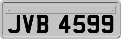 JVB4599