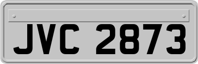 JVC2873