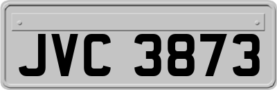 JVC3873