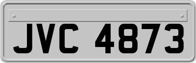 JVC4873