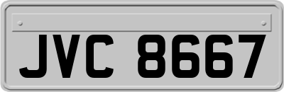 JVC8667