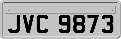 JVC9873