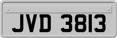 JVD3813