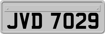 JVD7029