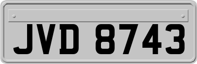 JVD8743